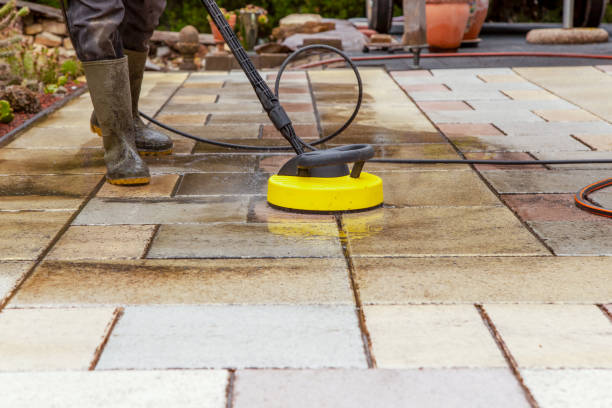 Best Solar Panel Cleaning  in Coal Valley, IL