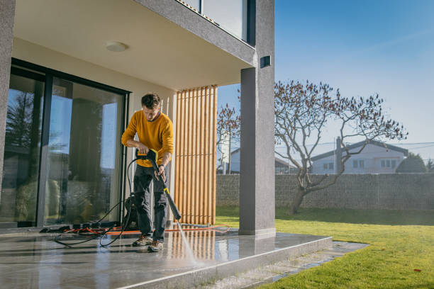 Best Gutter Cleaning  in Coal Valley, IL